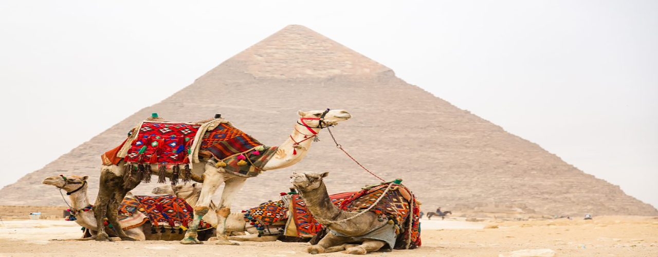 Pharaonic